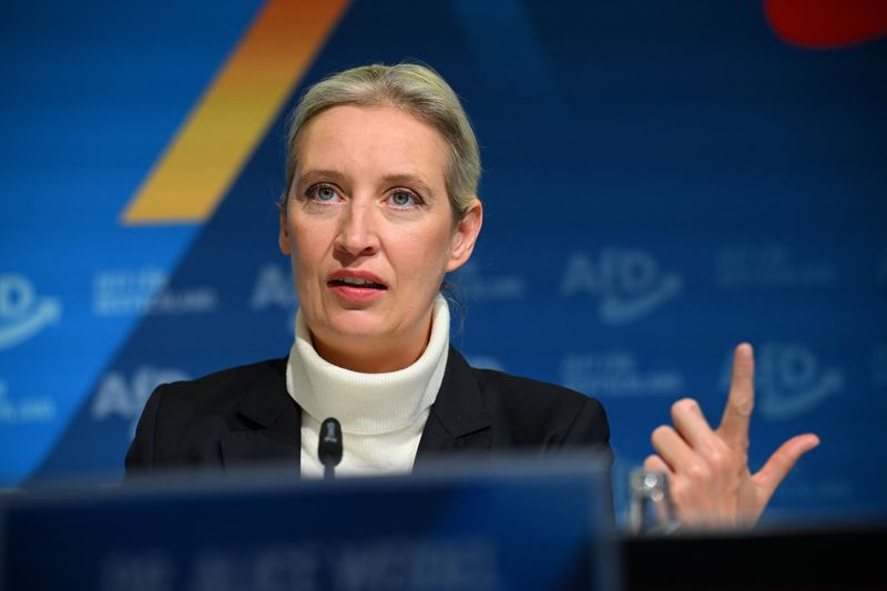 © Reuters. Alice Weidel, co-leader of the Alternative for Germany party (AfD), speaks at a press conference, on the day she is expected to be announced as officially nominated candidate for Chancellor for the upcoming general elections, in Berlin, Germany December 7, 2024.  REUTERS/Annegret Hilse