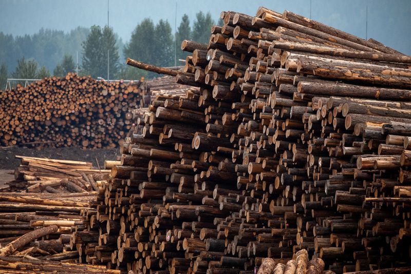 © Reuters. FILE PHOTO: Logs are stacked at a sawmill in Revelstoke, British Columbia, Canada, August 20, 2023. REUTERS/Chris Helgren/File Photo