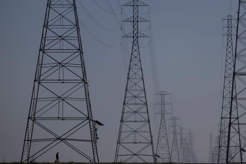 © Reuters. A local resident walks by the power grid towers at Bair Island State Marine Park in Redwood City, California, United States, January 26, 2022. REUTERS/Carlos Barria/File Photo