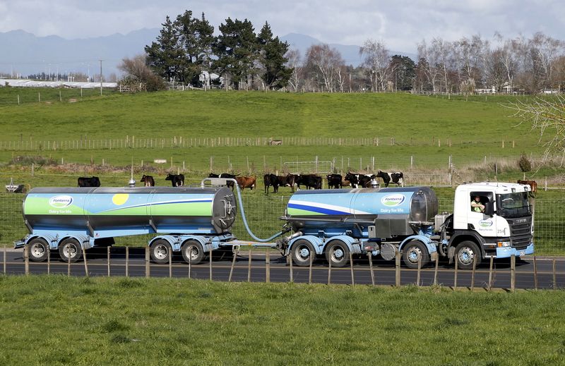 © Reuters. FILE PHOTO: A Fonterra milk tanker drives past dairy cows as it arrives at Fonterra's Te Rapa plant near Hamilton, New Zealand August 6, 2013. REUTERS/Nigel Marple/File Photo