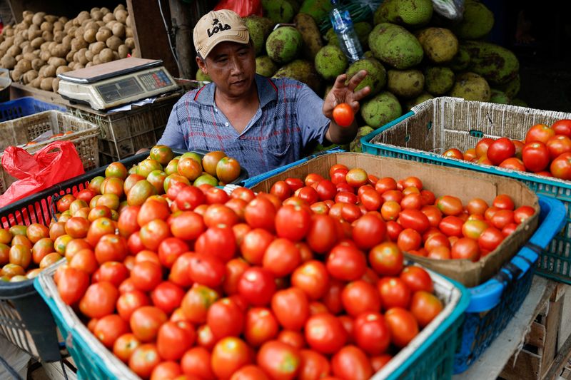 © Reuters. FILE PHOTO: Aman Iskandar, a vendor, 52, sorts tomatoes while waiting for customers at a traditional market, in Jakarta, Indonesia October 1, 2024. REUTERS/Willy Kurniawan/File photo