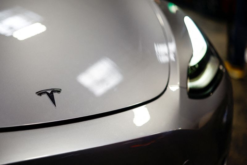 © Reuters. FILE PHOTO: The Tesla logo is seen on a car at the Paris Games Week (PGW), a trade fair for video games in Paris, France, October 27, 2024. REUTERS/Sarah Meyssonnier/File Photo