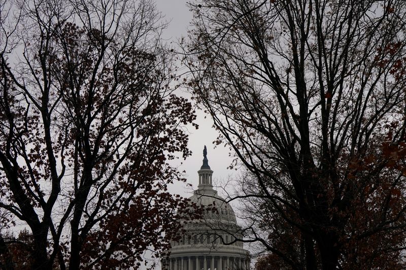 © Reuters. FILE PHOTO: The U.S. Capitol building is seen in Washington, U.S., December 16, 2024. REUTERS/Elizabeth Frantz/File Photo