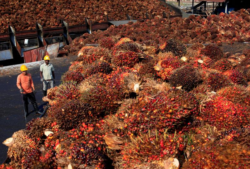 © Reuters. FILE PHOTO: Workers stand near palm oil fruits inside a palm oil factory in Sepang, outside Kuala Lumpur, February 18, 2014. REUTERS/Samsul Said/File Photo