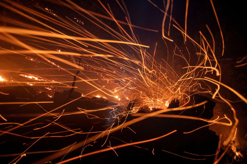 © Reuters. The wind whips embers in the Angeles National Forest near Mt. Wilson as the wildfires burn in the Los Angeles area, during the Eaton Fire in Altadena, California, U.S. January 9, 2025. REUTERS/Ringo Chiu/ File Photo