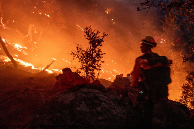 © Reuters. FILE PHOTO: A firefighter battles the fire in the Angeles National Forest near Mt. Wilson as the wildfires burn in the Los Angeles area, during the Eaton Fire in Altadena, California, U.S. January 9, 2025. REUTERS/Ringo Chiu/File Photo