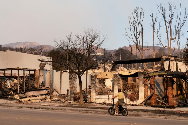 © Reuters. A cyclist looks at the remains of destroyed buildings following the Palisades Fire in the Pacific Palisades neighborhood in Los Angeles, California, U.S. January 10, 2025. REUTERS/David Ryder