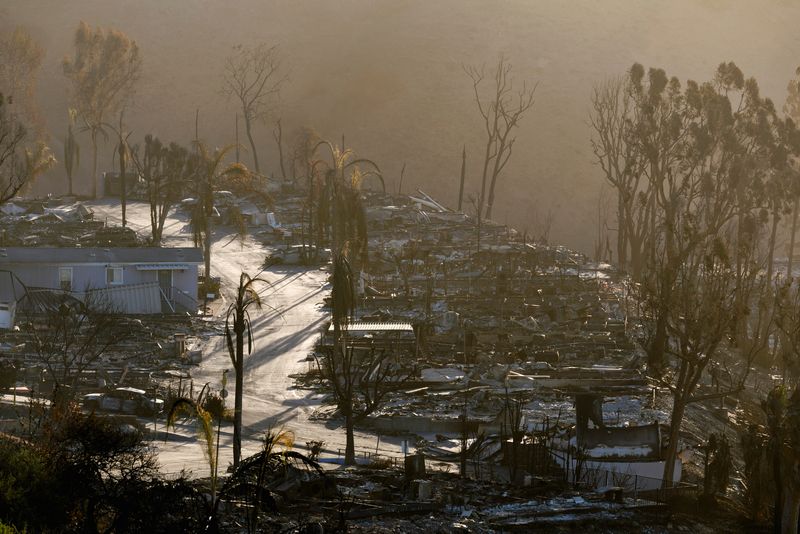 © Reuters. Charred remains of buildings are pictured following the Palisades Fire in the Pacific Palisades neighborhood in Los Angeles, California, U.S.  January 15, 2025. REUTERS/Mike Blake