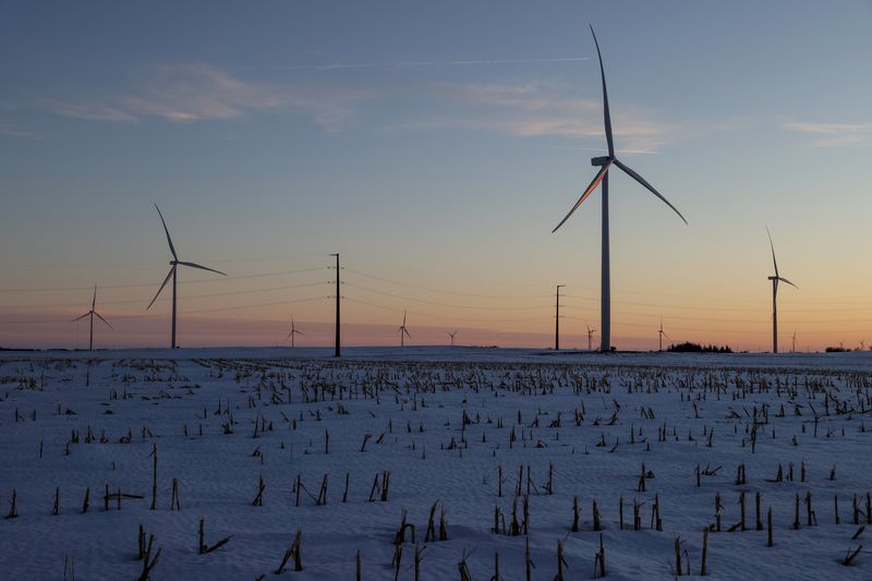 © Reuters. A wind farm shares space with corn fields the day before the Iowa caucuses, where agriculture and clean energy are key issues, in Latimer, Iowa, U.S. February 2, 2020. REUTERS/Jonathan Ernst/ File Photo