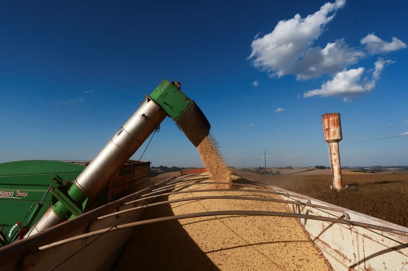 © Reuters. FILE PHOTO: A harvester unloads soybeans into a truck at a farm during a record soybean harvest season in Brazil's southernmost state in Nao Me Toque, state of Rio Grande do Sul, Brazil, April 3, 2024. REUTERS/Diego Vara/File Photo