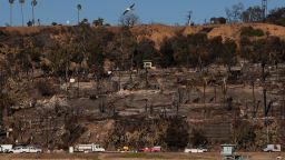 Homes and trees destroyed by the Palisades Fire are seen along the coastline on Wednesday, Jan. 15, 2025, in the Pacific Palisades neighborhood of Los Angeles. (AP Photo/Carolyn Kaster)